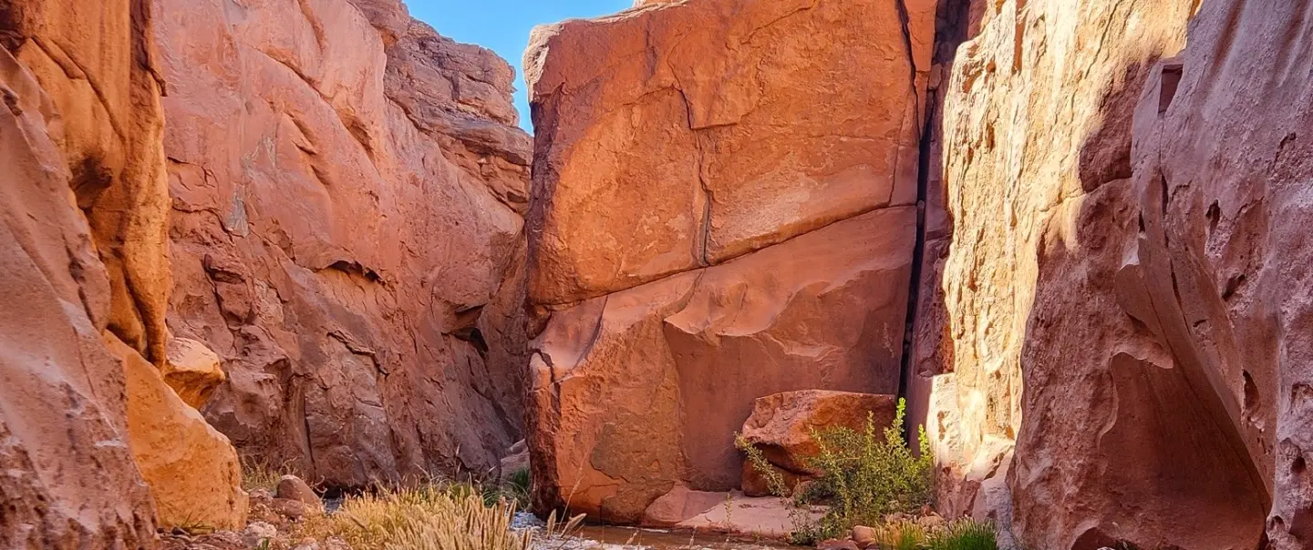 Salt Mountain Canyon Hike near San Pedro de Atacama: slot canyons, petroglyphs, and expert guide.