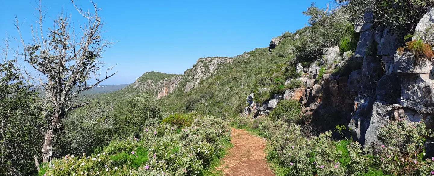 Walking Tour in the Algarve through Rocha da Pena, following the bees' path on a local honey farm.