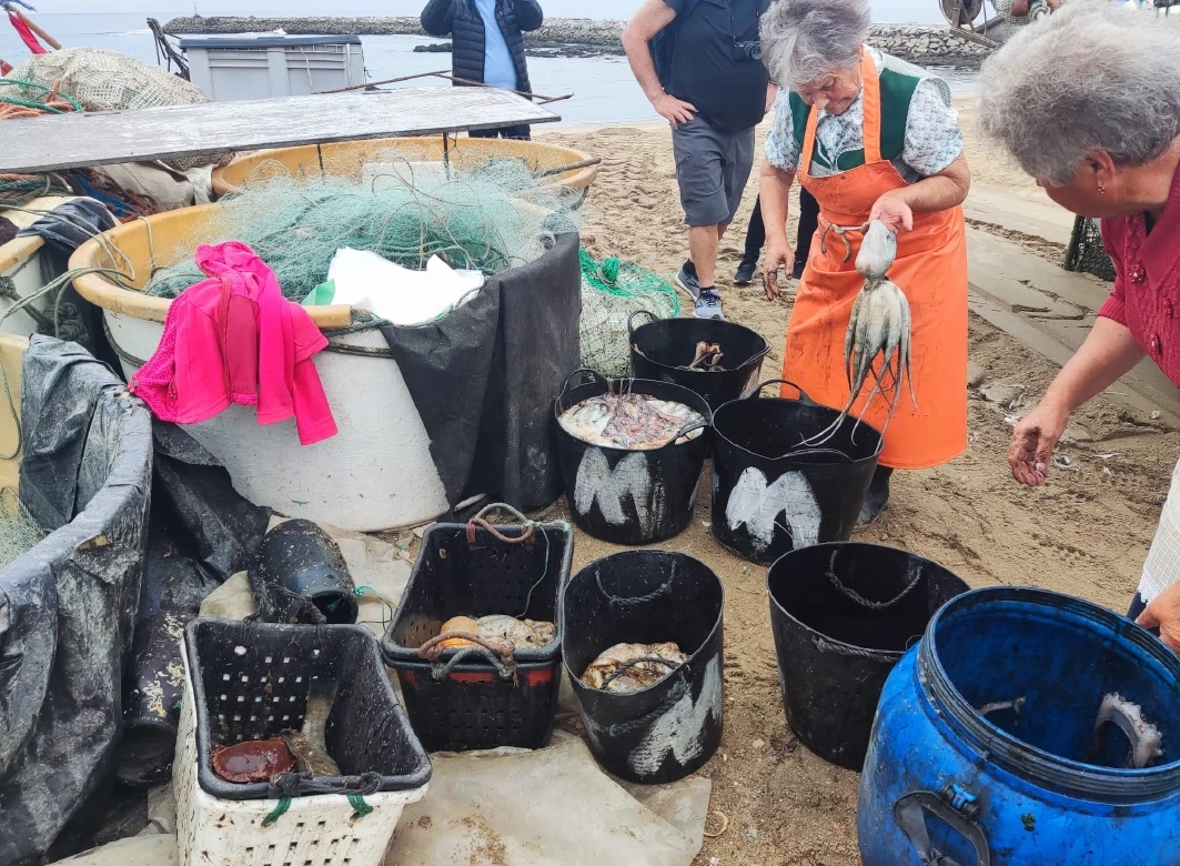 Fishing Tour day trip from Porto with fishermen’s return, sardine cannery visit, Matosinhos market.