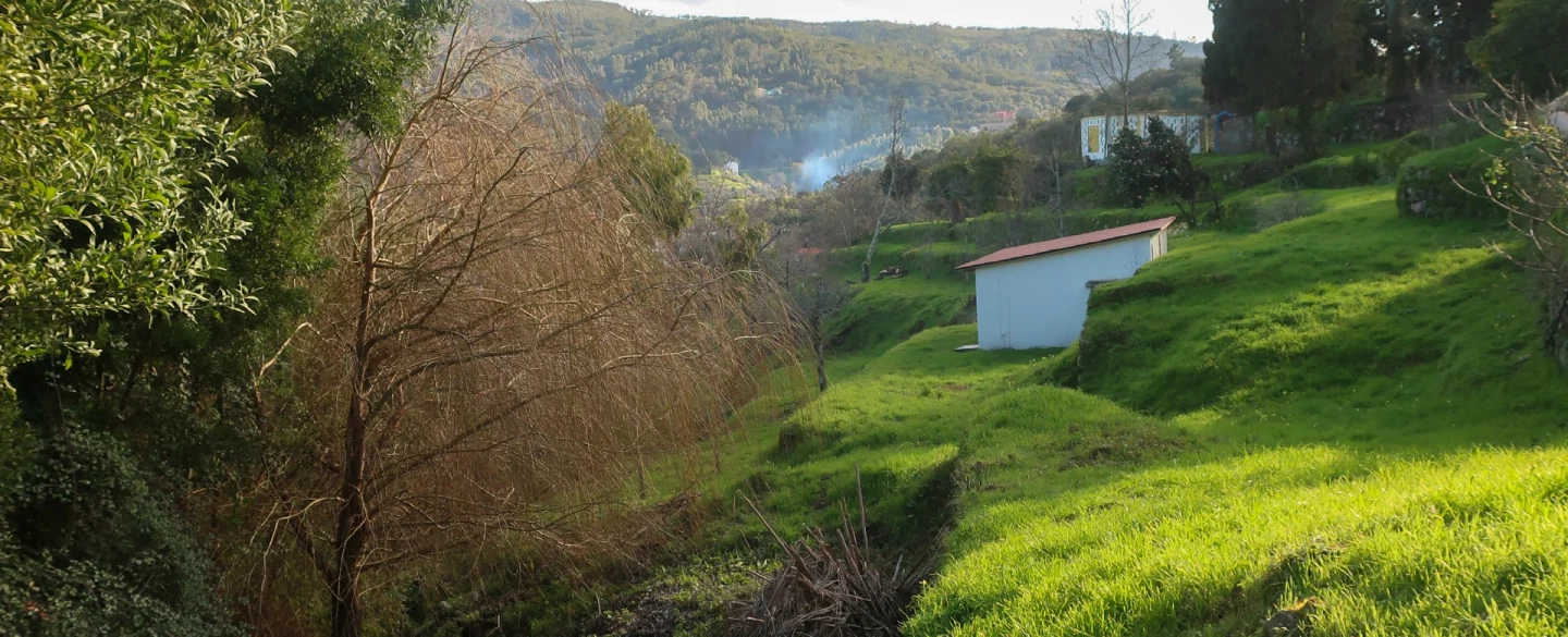Algarve Hiking and Olive Oil Tour in Monchique near Lagos with suspension bridge, mill and tapas.