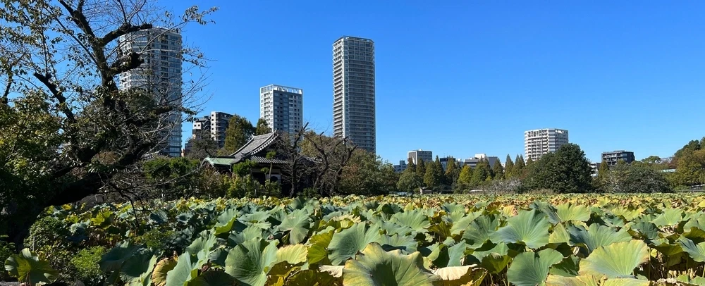 Day Tour of Tokyo through temples, historic gardens, Meiji architecture, and preserved districts.