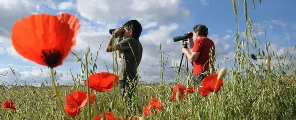 Day Trip from Porto to Terra de Miranda: Explore folk dancing, masks, wildlife & nature photography.