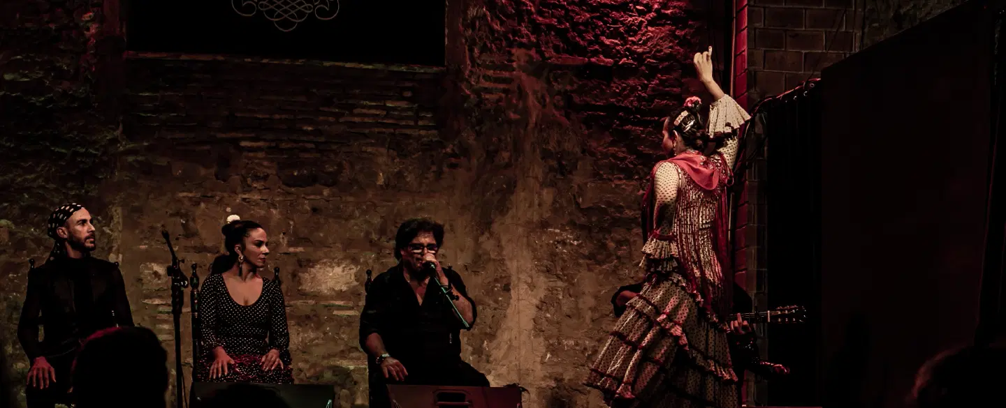 Cultural Tour of Jerez near Cadiz or Seville with Sherry Tasting, Equestrian Art, Flamenco Show.