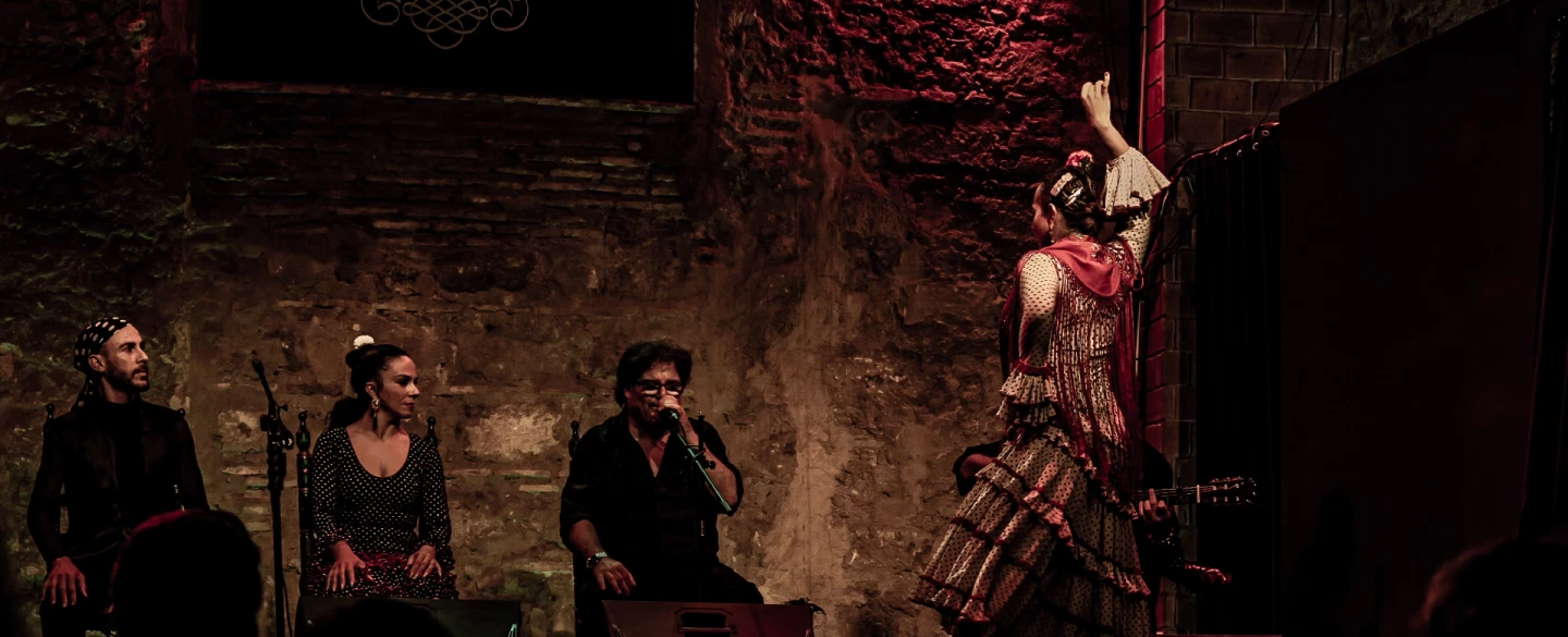 Cultural Tour of Jerez near Cadiz or Seville with Sherry Tasting, Equestrian Art, Flamenco Show.
