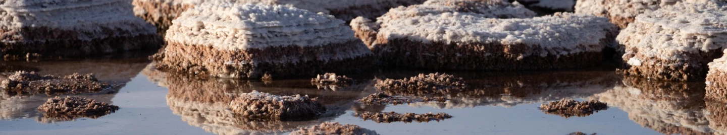 Lagoon Tour and Floating Experience in Atacama Desert: Cejar Lagoon, swimming, and flamingos.