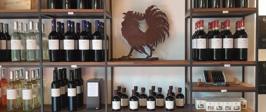 Half Day Tour from Florence exploring the Villages of Chianti Classico and Tuscan rural traditions.