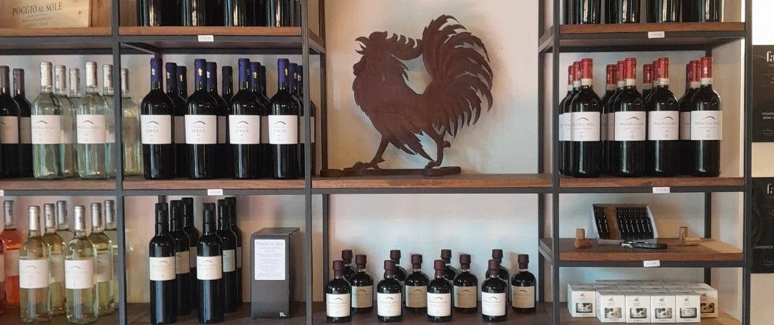 Half Day Tour from Florence exploring the Villages of Chianti Classico and Tuscan rural traditions.