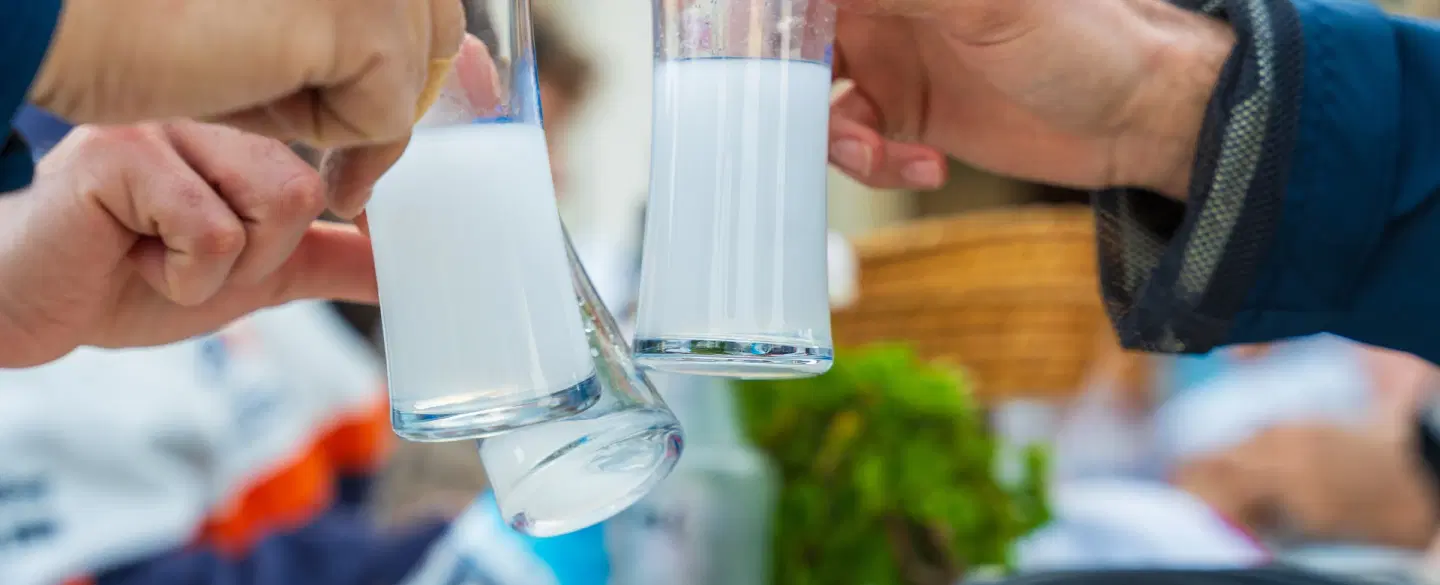 Walking Tour in Kadıköy, exploring the drinks of Istanbul, including coffee, raki and tea tastings.