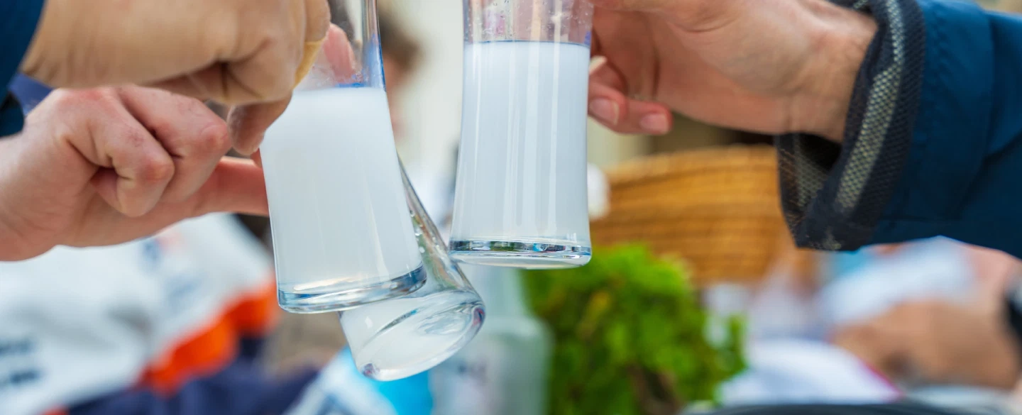 Walking Tour in Kadıköy, exploring the drinks of Istanbul, including coffee, raki and tea tastings.