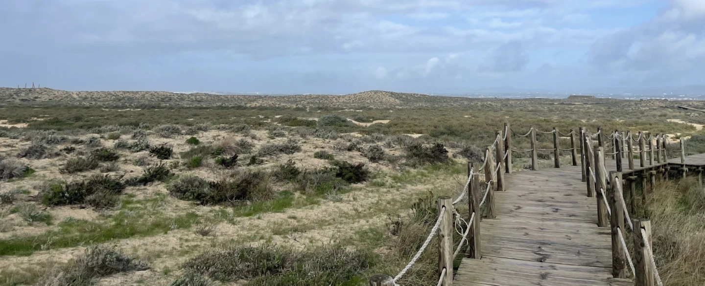 Algarve Oyster Farm Tour in Ria Formosa, near Faro, with oyster tasting and lunch on Culatra Island.
