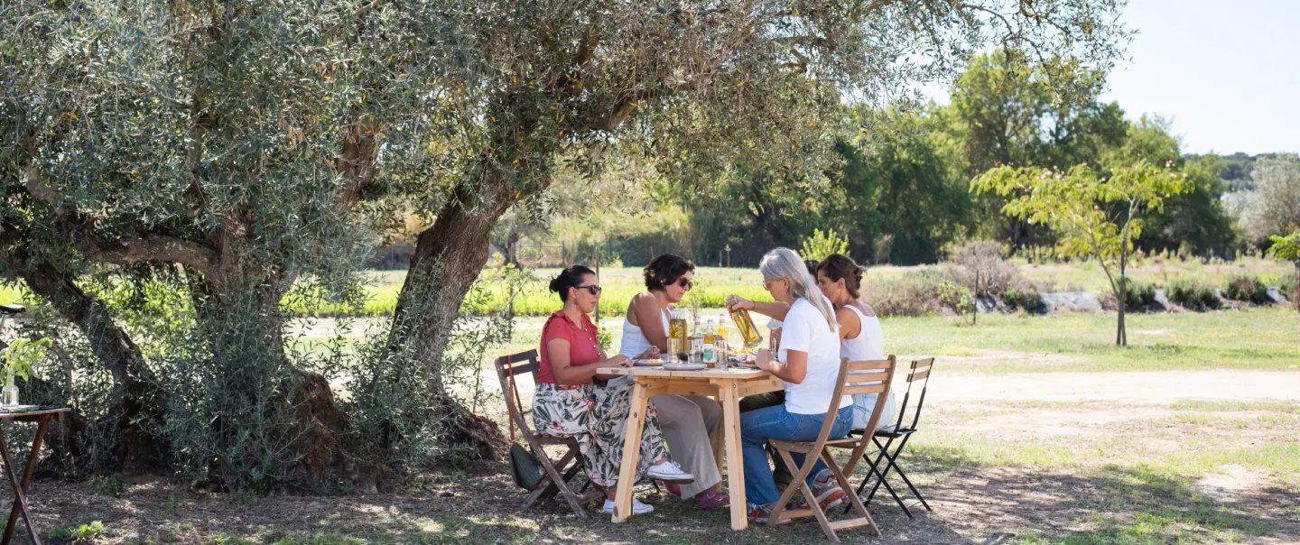 Herb Farm Tour in Évora, Alentejo, exploring the use of aromatic herbs in crafts and gastronomy.