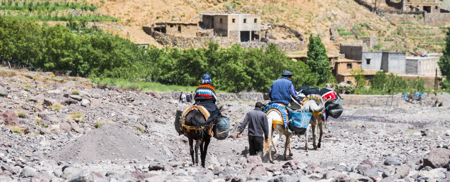 Hiking Trek to Aremd along the gentle mule tracks of the Atlas Mountains from Imlil near Marrakesh.