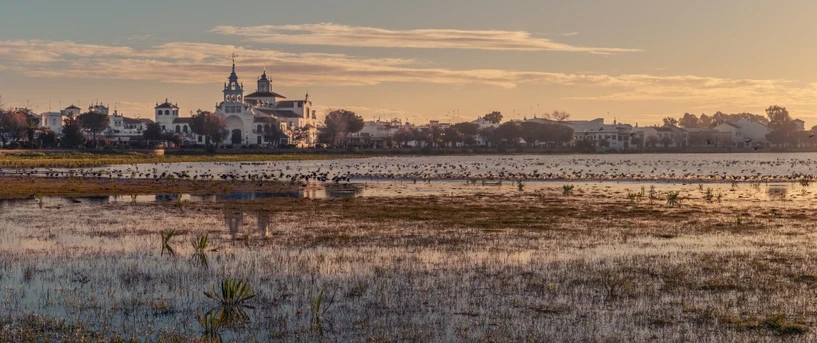 Cultural Tour of El Rocío from Seville with carriage ride, Doñana visit, Andalusian lunch, flamenco.