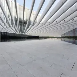 Contemporary Lines of the Tejo