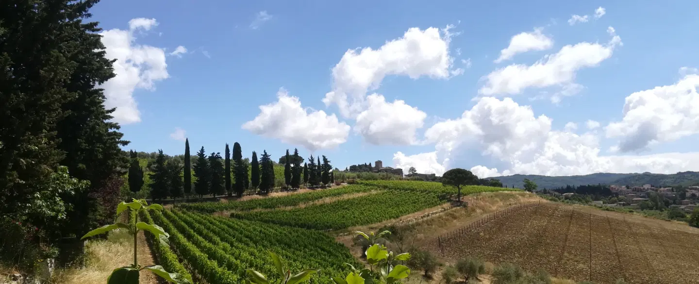 Half Day Tour from Florence exploring the Villages of Chianti Classico and Tuscan rural traditions.