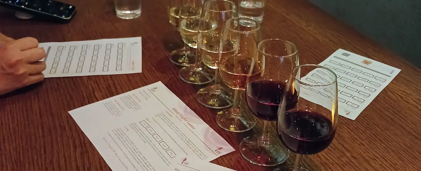 Wine Tasting Workshop in Istanbul explores Türkiye’s native wines through interactive blind tasting.
