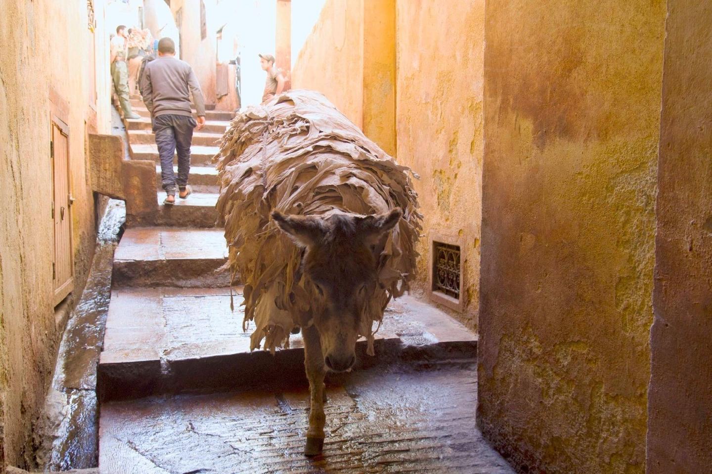 4-day itinerary in Fes exploring medina life, Berber heritage, henna, souks, crafts, Moroccan food.