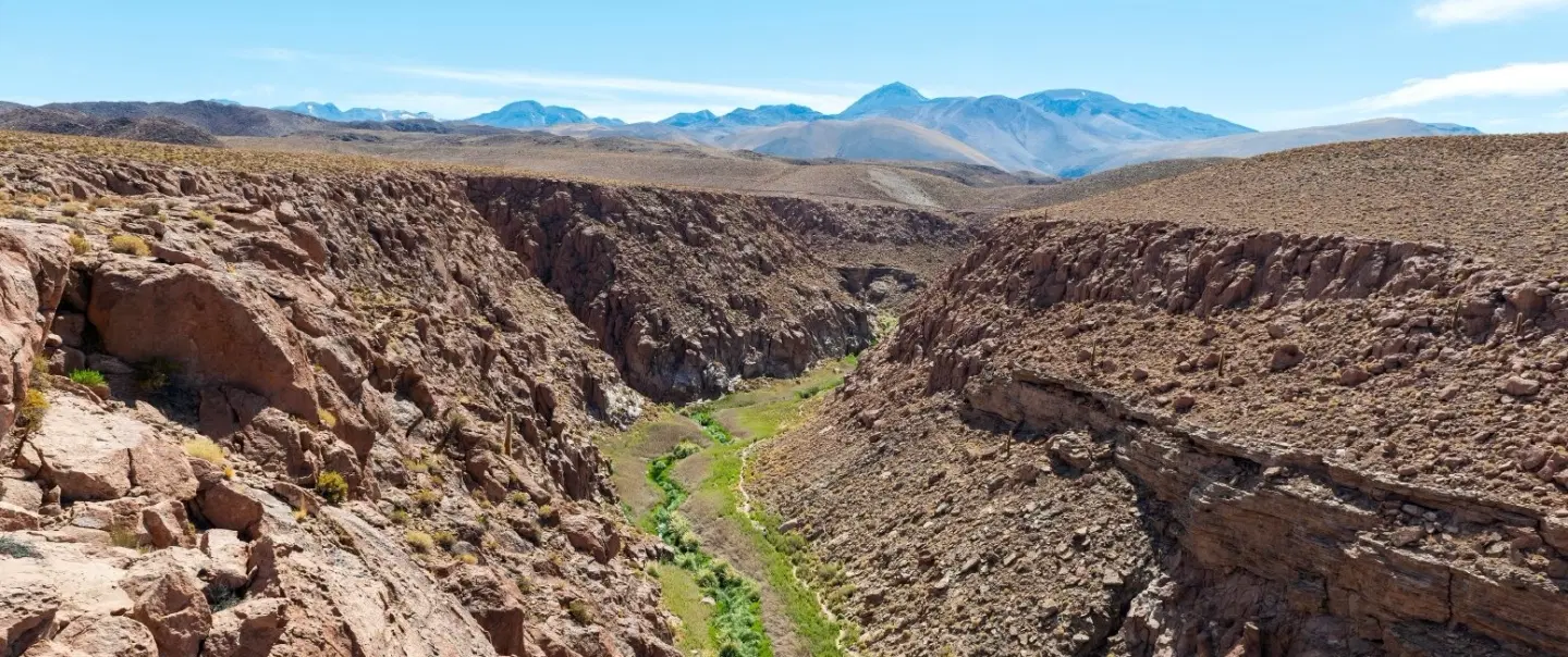 Salt Mountain Canyon Hike near San Pedro de Atacama: slot canyons, petroglyphs, and expert guide.