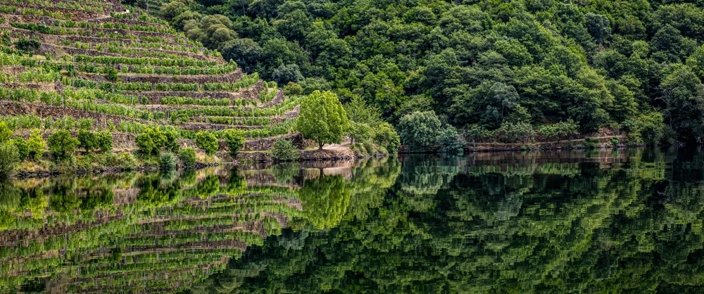 Private boat on Ribeira Sacra in Galicia — Cabo do Mundo, monastery, winery; a long day from Madrid.
