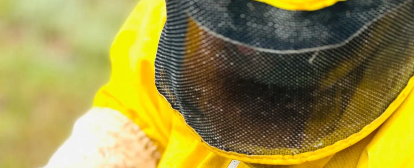 Walking Tour in the Algarve through Rocha da Pena, following the bees' path on a local honey farm.