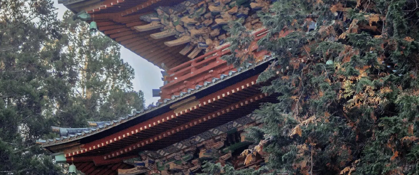 Day Trip from Tokyo exploring Nikkō Tōshōgū, Tokugawa symbolism, carvings, gates and yuba tradition.