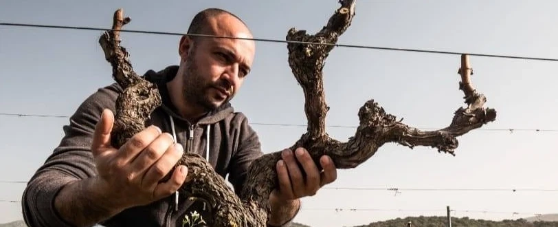 Wine Tasting in Sardinia from Olbia or Alghero: vineyard walk in Mamoiada and Sardinian lunch.