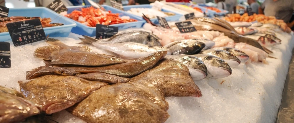Gastronomic Day Trip to French Basque Country from San Sebastián, Spain: Cheese, Seafood, Chocolate.