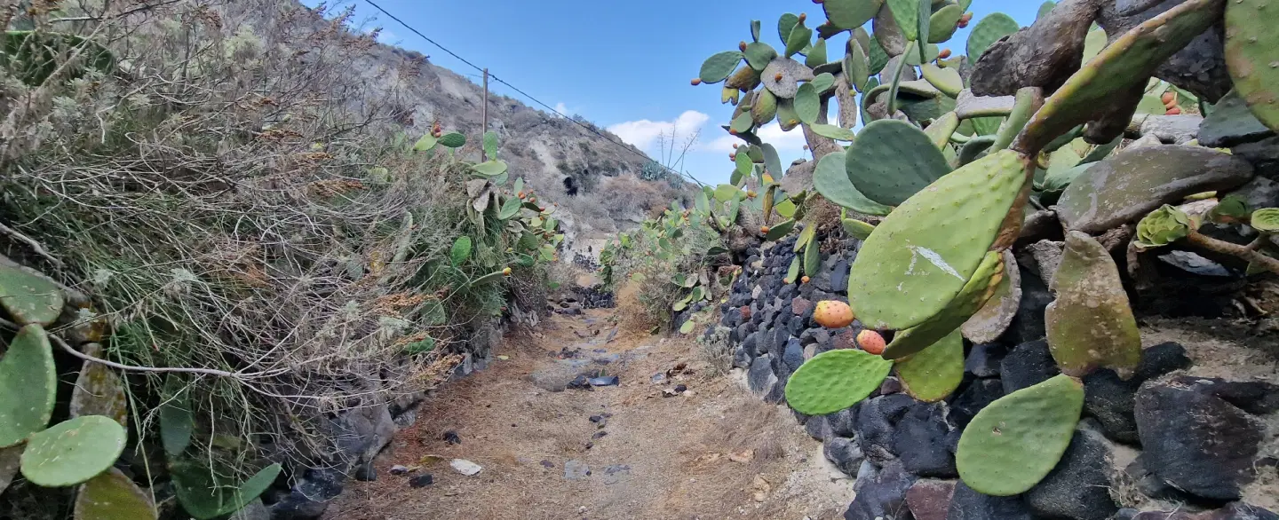 Boat Tour from Santorini to Thirassia with caldera views, local food and a traditional wine tasting.