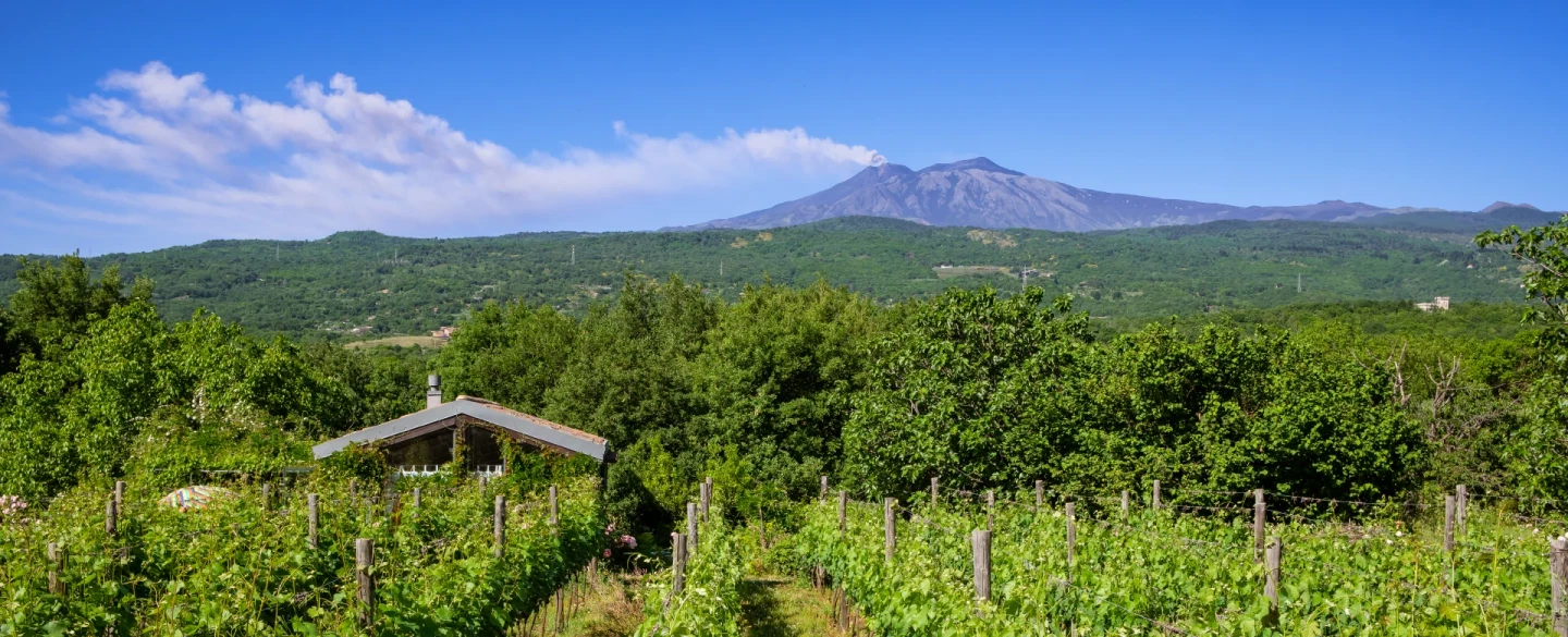Film Experience on Mount Etna, Sicily, near Taormina: wineries, pastries, professionally shot film.