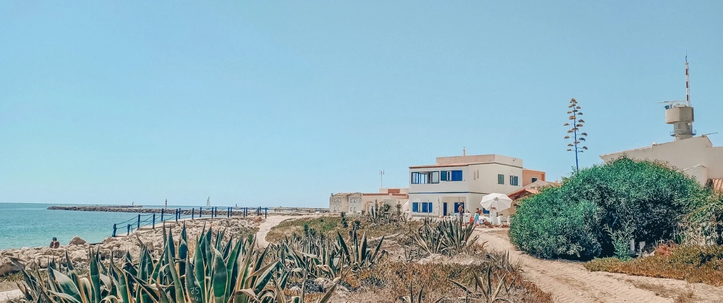 Algarve Oyster Farm Tour in Ria Formosa, near Faro, with oyster tasting and lunch on Culatra Island.