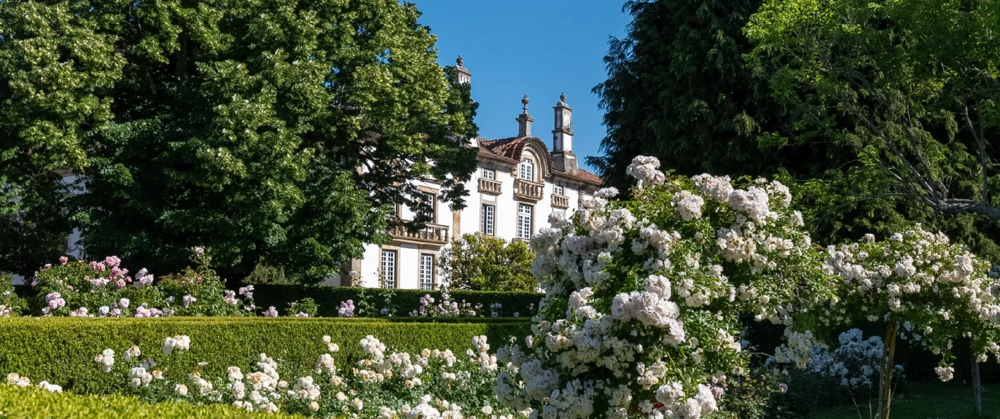 Douro Valley Tour with a beekeeper including honey tasting, vineyard lunch, viewpoint and boat ride.
