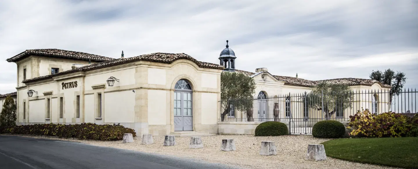 Wine Tasting in Saint-Émilion near Bordeaux: Visit classified vineyards and UNESCO heritage sites.