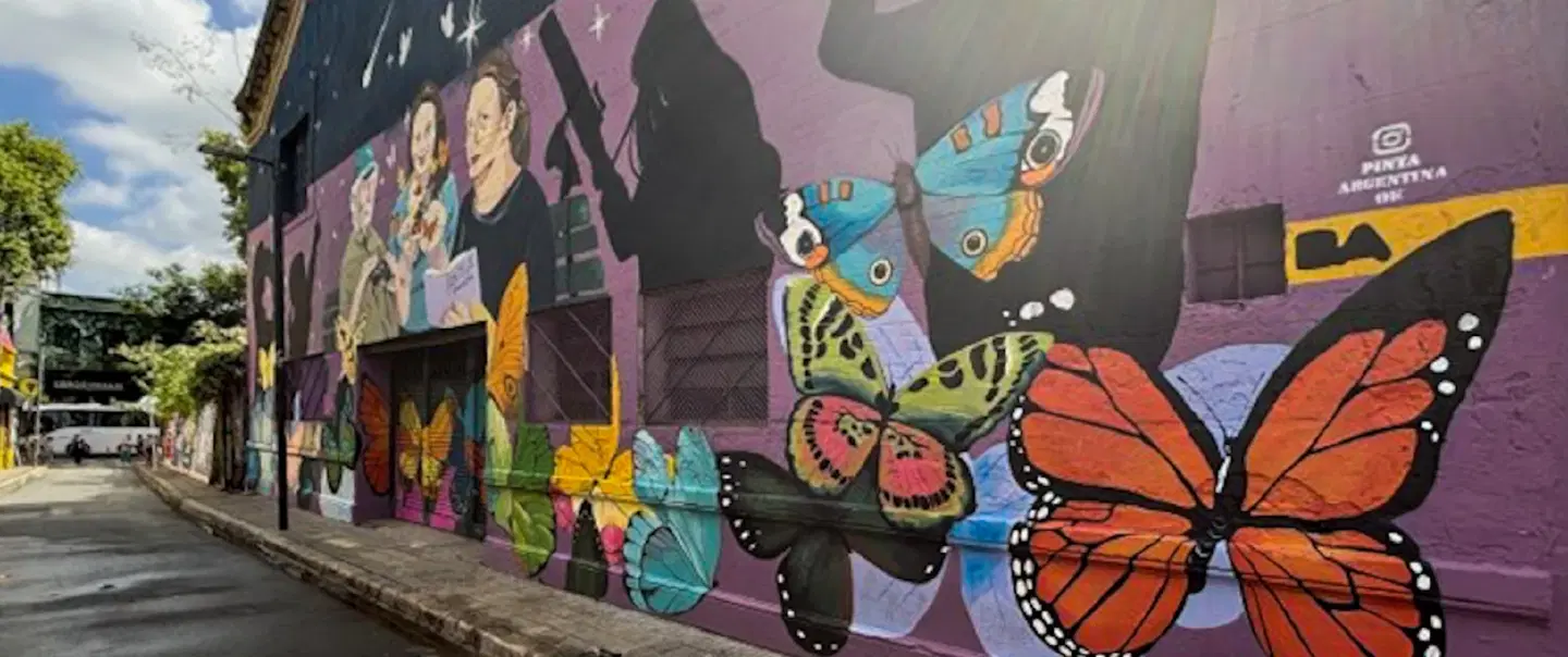 Street Art Walking Tour in Palermo Soho, Buenos Aires—exploring local and global street art history.