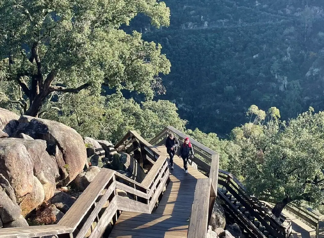 Adventure Day Trip from Porto hiking 516 Arouca Bridge and Paiva Walkways with sweets & local lunch.