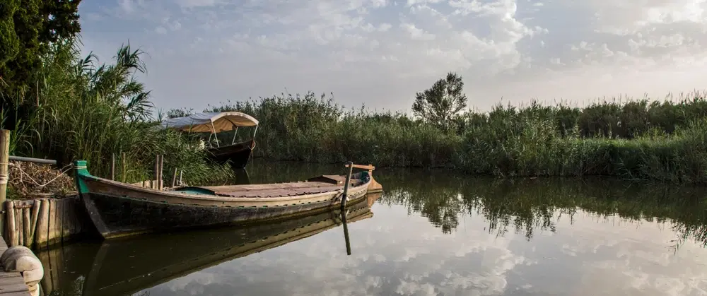 Day Trip from Valencia to Albufera Natural Park, Paella’s Birthplace, and private Lagoon Boat Tour.