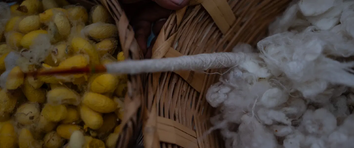 Cultural Tour from Oaxaca with exclusive access to silk weavers & traditional textile craftsmanship.