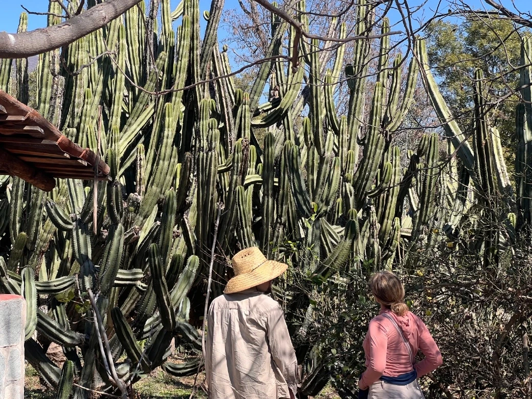 Day Tour from Guadalajara to Jalisco’s Sierra: coffee farm, Pueblo Mágico, artisans, Enigma Valleys.