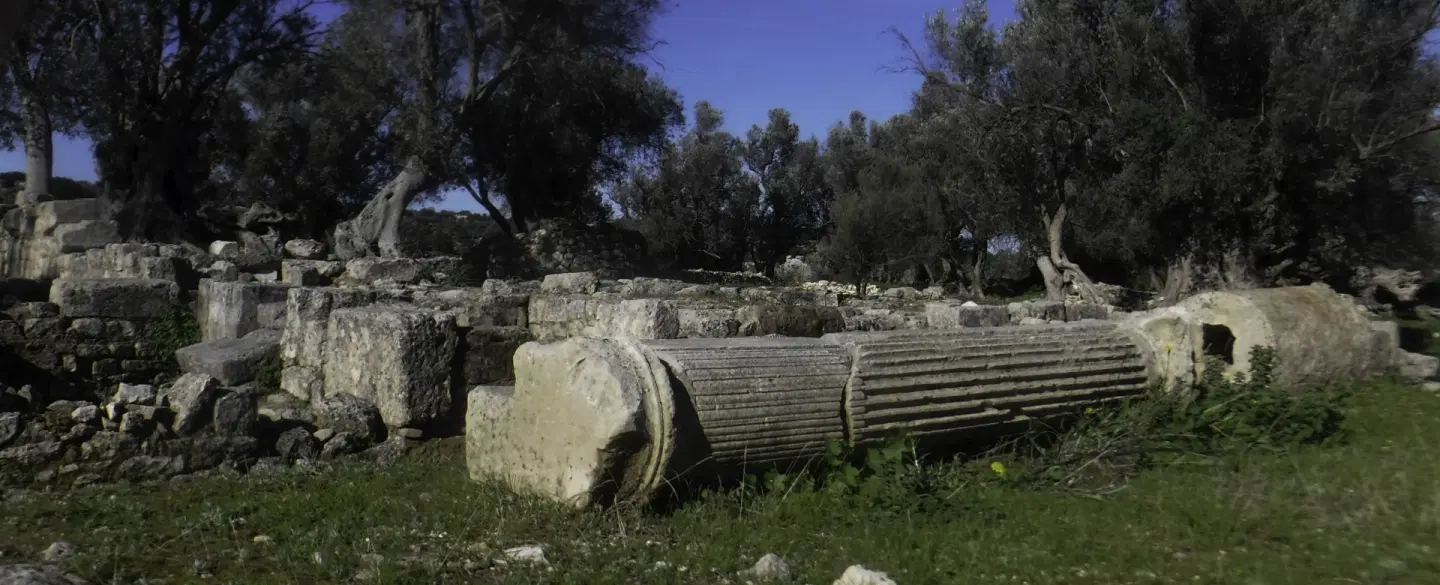 Hiking Tour from Rethymno, Crete: Ancient Eleftherna, olive groves, rural villages, and local life.