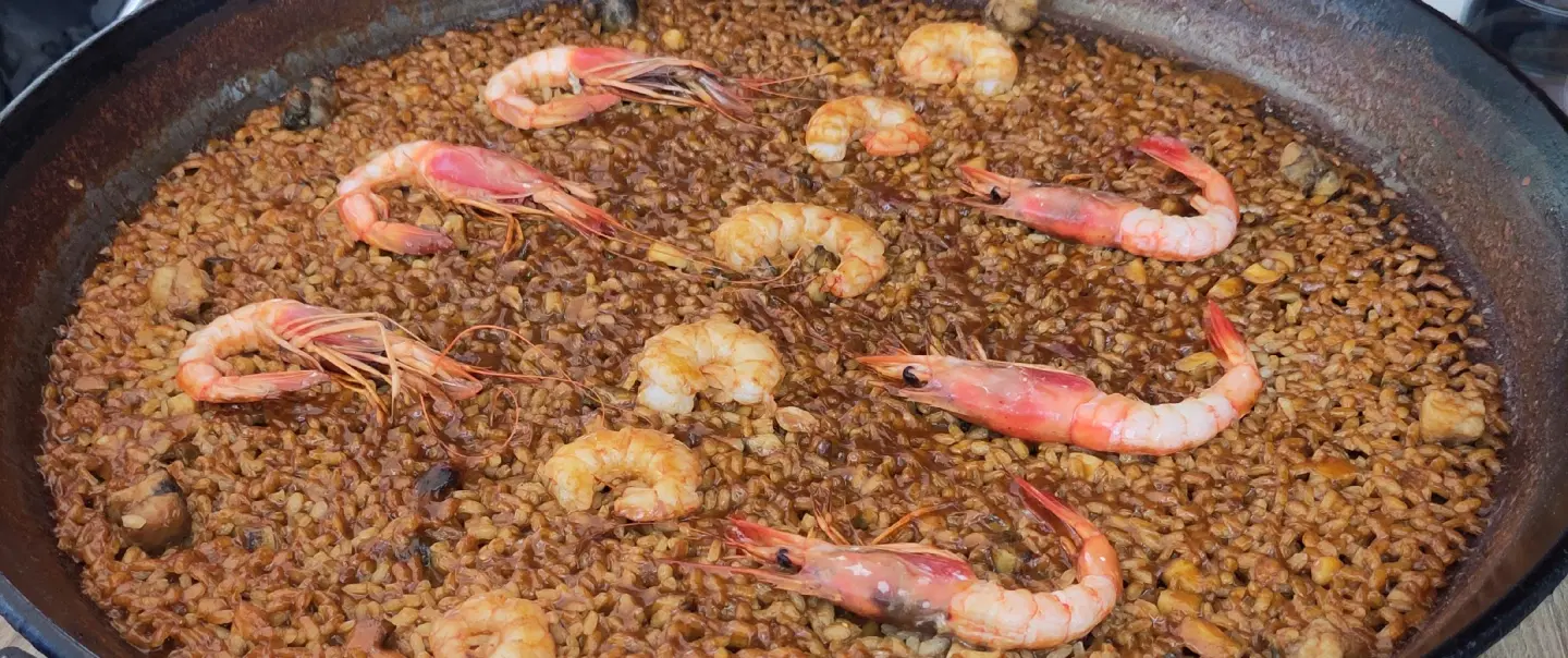 Day Trip from Valencia to Albufera Natural Park, Paella’s Birthplace, and private Lagoon Boat Tour.