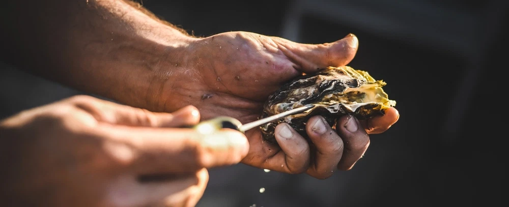 Boat Tour in Costa del Sol near Málaga with open-sea tasting of underwater-aged wine, oysters, EVOO.
