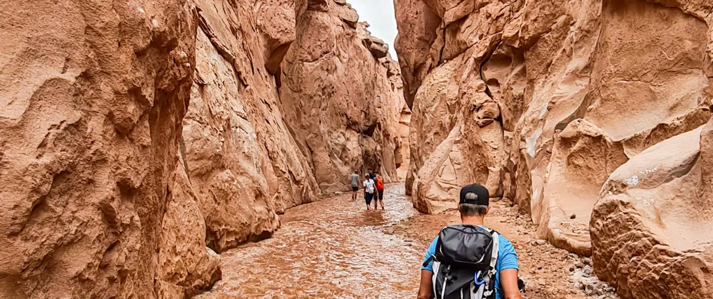 Salt Mountain Canyon Hike near San Pedro de Atacama: slot canyons, petroglyphs, and expert guide.