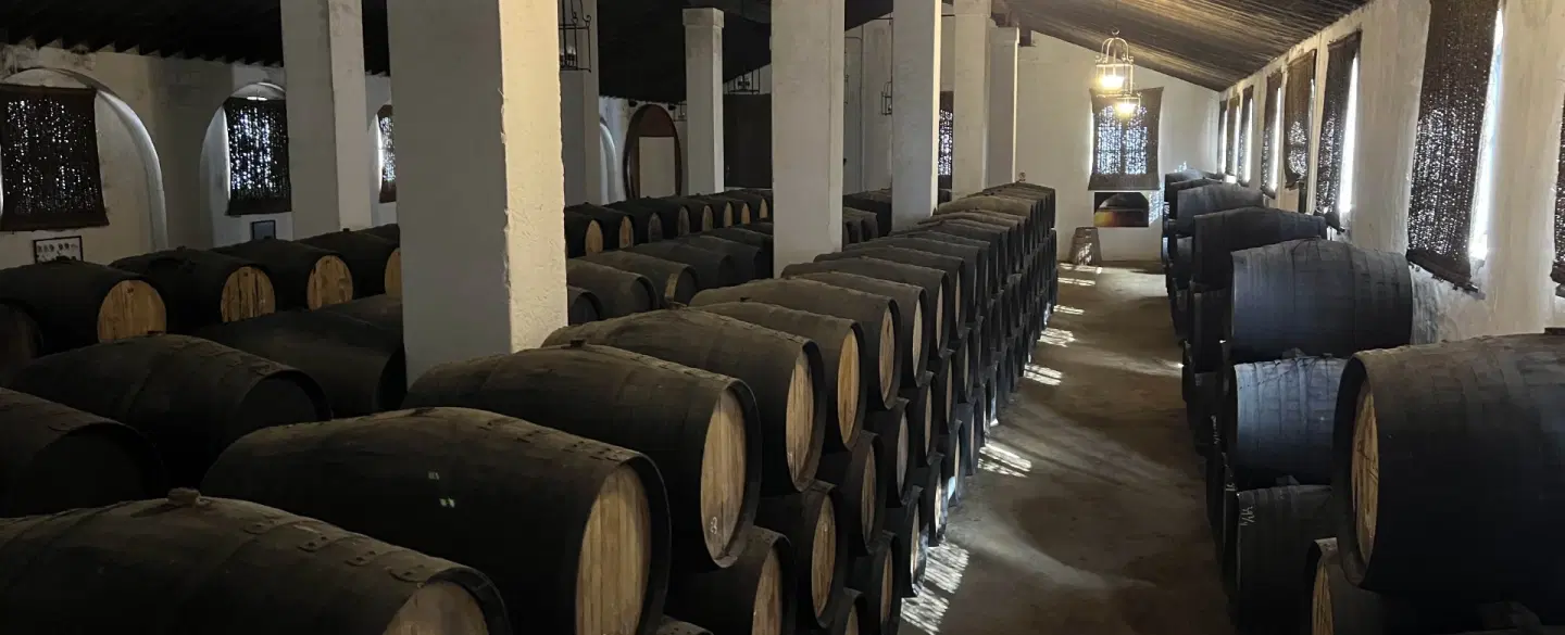 Cultural Tour of Jerez near Cadiz or Seville with Sherry Tasting, Equestrian Art, Flamenco Show.