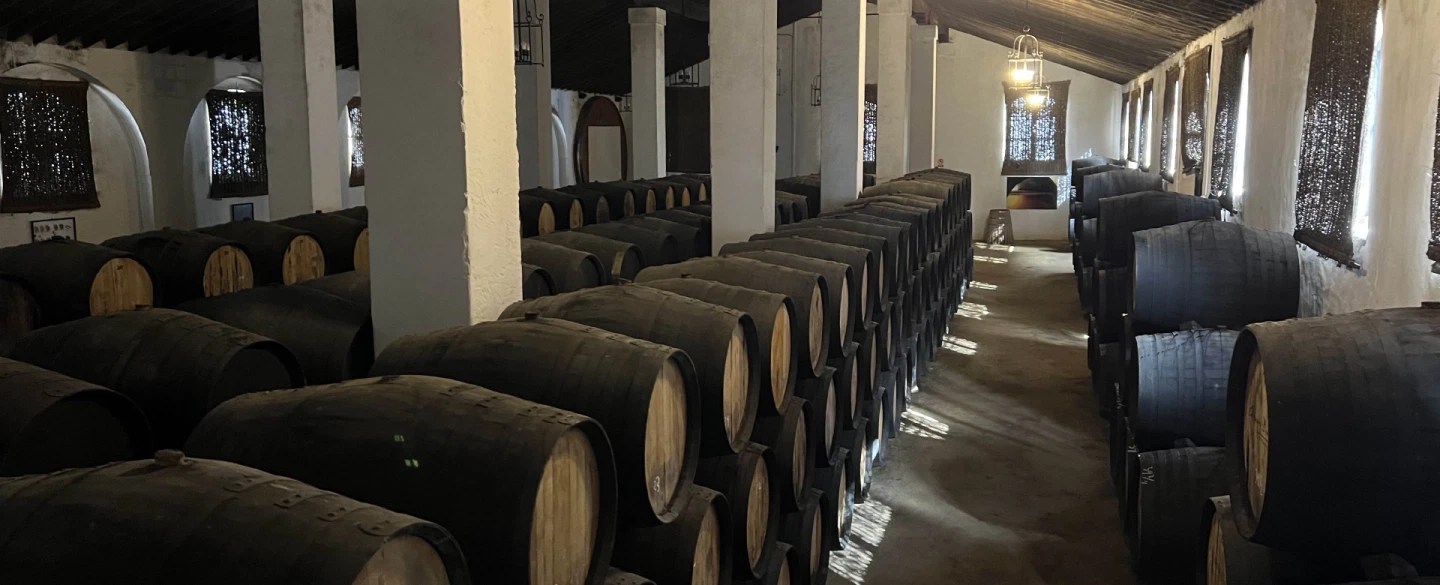 Cultural Tour of Jerez near Cadiz or Seville with Sherry Tasting, Equestrian Art, Flamenco Show.