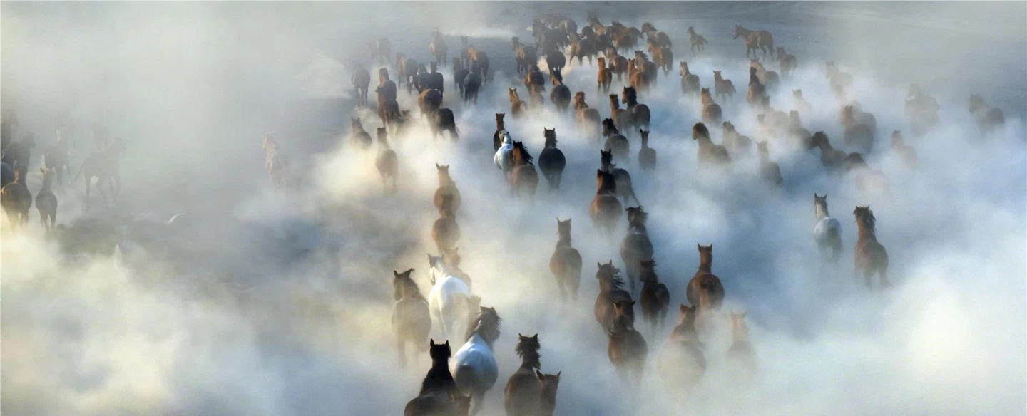 Photo Workshop near Cappadocia capturing horses at sunset with Yilki horses photography expert.