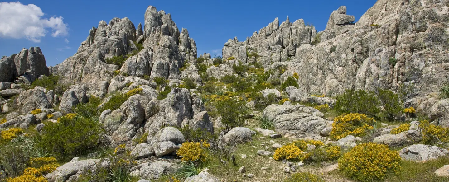 Photo Hiking Tour in Gallura, Sardinia, through Mount Limbara’s granite landscapes and wild forests.