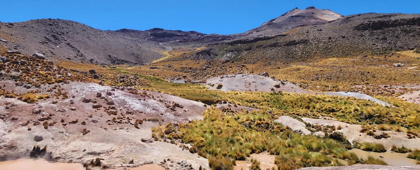 El Tatio Geyser & Wildlife Tour from San Pedro de Atacama, Río Blanco Wetland & Altiplano flamingos.