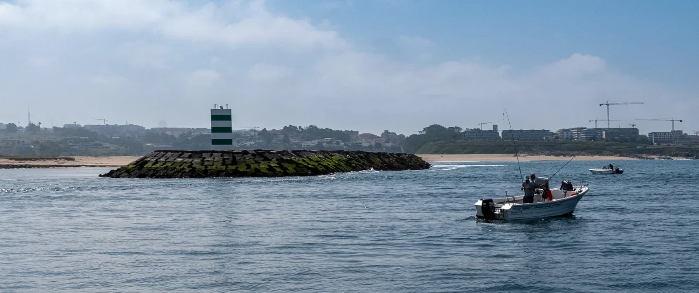 Boat Cruise on Douro River in Porto, on-board Port wine tasting, and fishing village of Afurada.