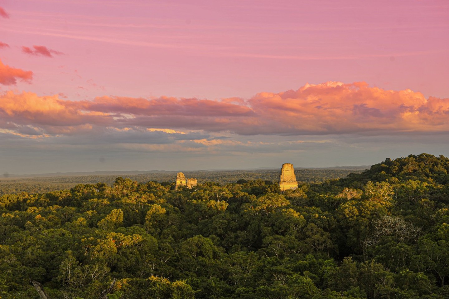 Pyramids of Tikal in Tikal | Guatemala - Travel Story