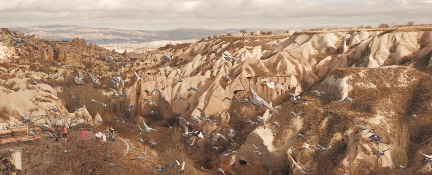 Day Trip in Cappadocia: Göreme, Uçhisar Castle, Kaymaklı underground city, Paşabağ fairy chimneys.