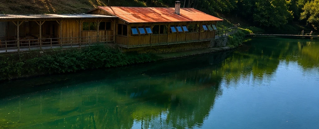 Day Trip from Coimbra near Porto to discover schist villages, mountain life and tradition in Lousã.